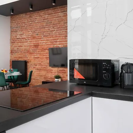 Stylish With Air Conditioning In The Center Of By Renters Appartement Łódź